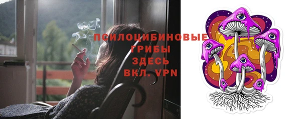 тгк Алзамай