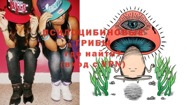амф Алексин