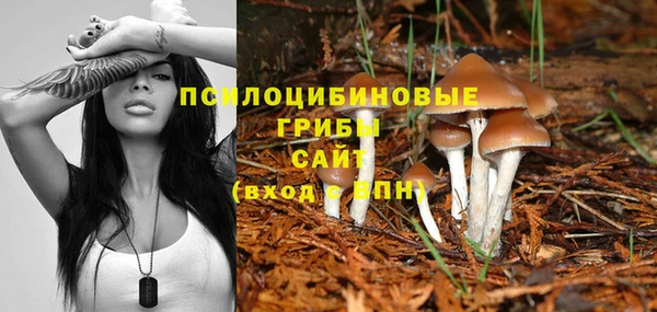 тгк Алзамай