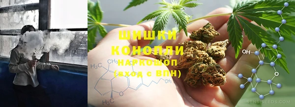 тгк Алзамай